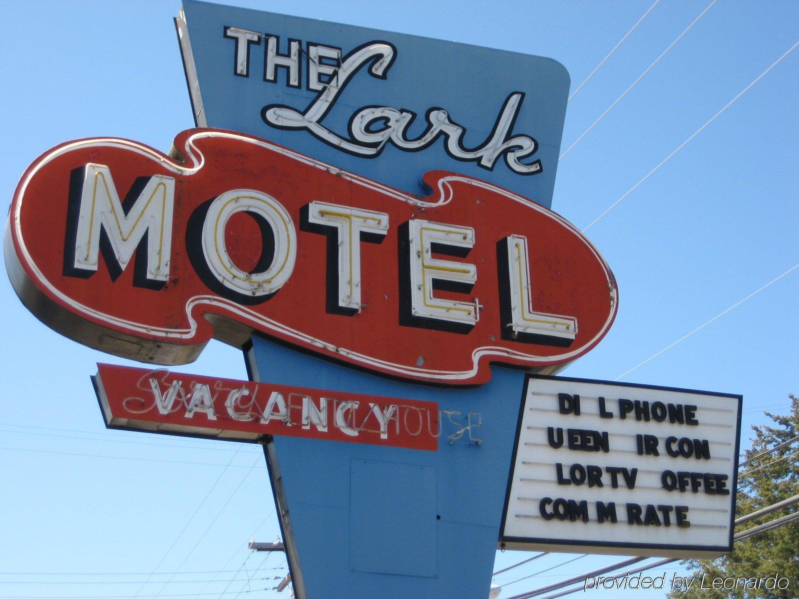 Lark Motel Willits Extérieur photo